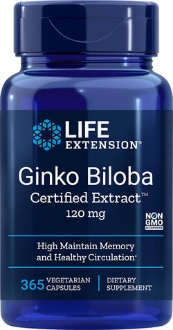 Ginkgo Biloba extract 120mg 365 capsules